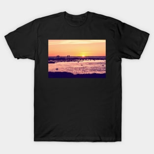 Enjoying Summer at the Beach T-Shirt